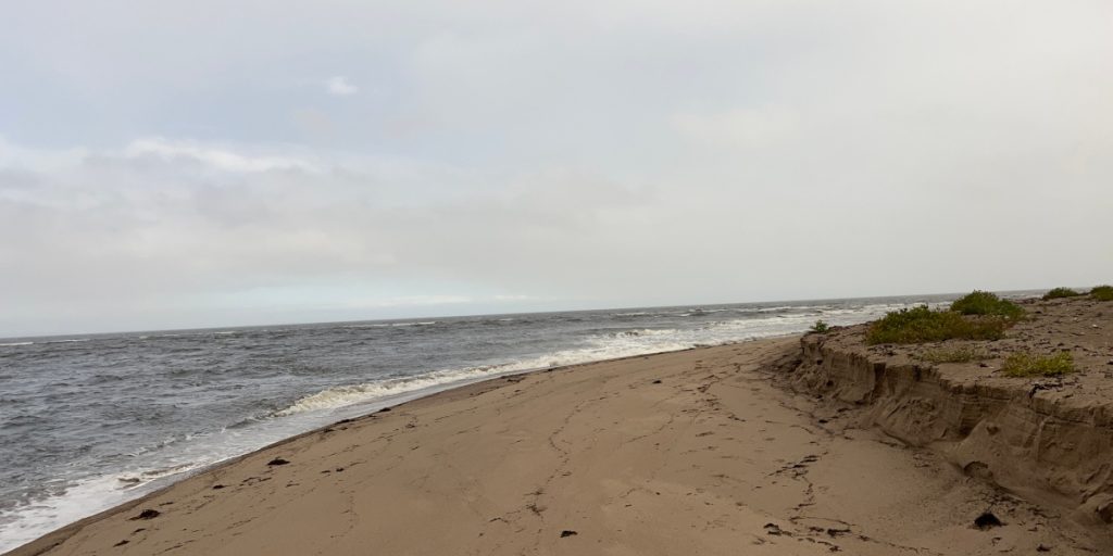 20230906 beach in the Pomquet Provincial Park