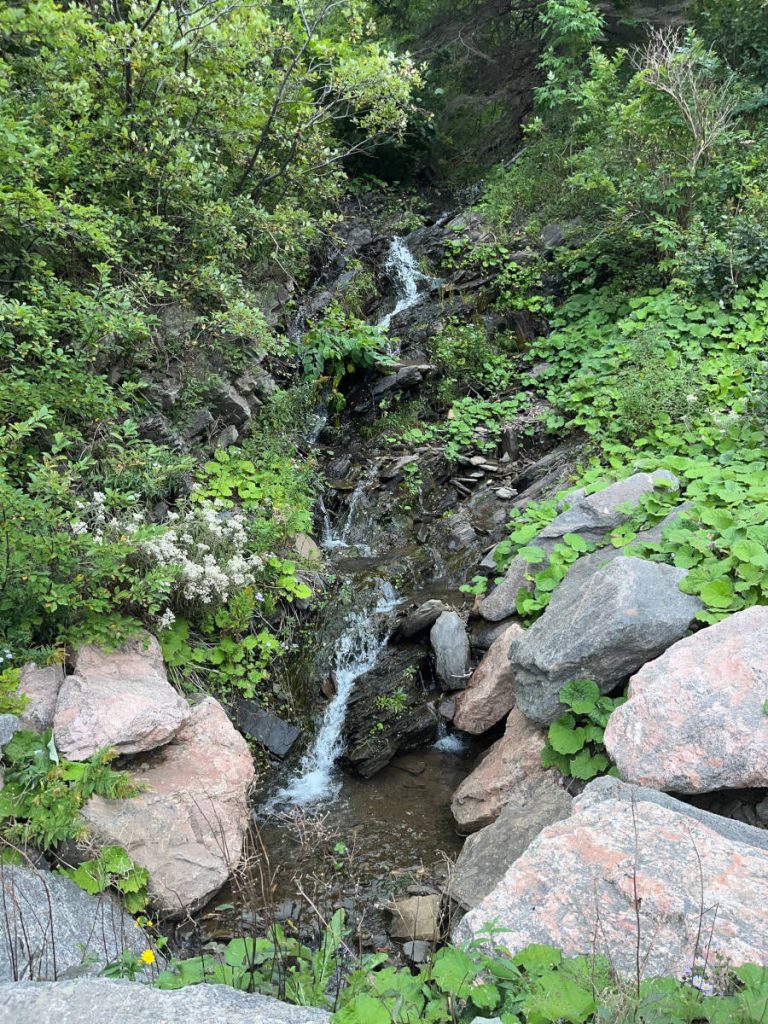 Meat Cove beach - waterfall in the parking lot.