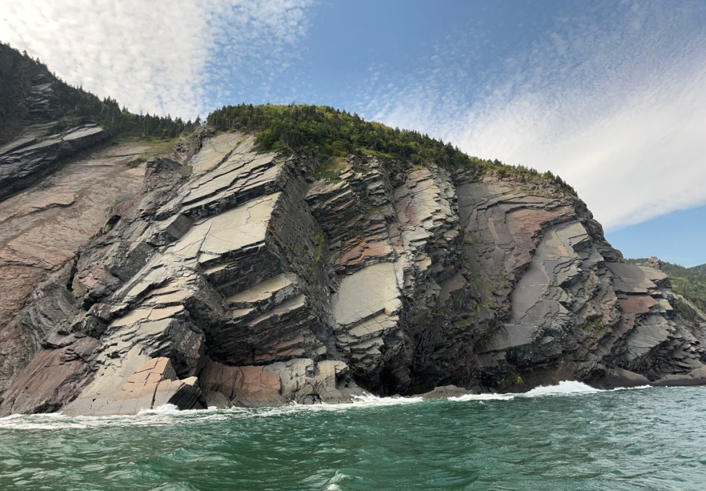Whale watching tour - and Nova Scotia/Cape Breton geology with sedimentary rocks.