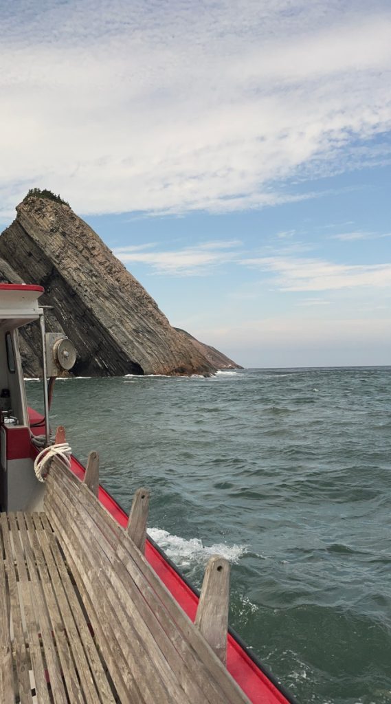 Whale watching tour - and Nova Scotia/Cape Breton geology with sedimentary rocks.