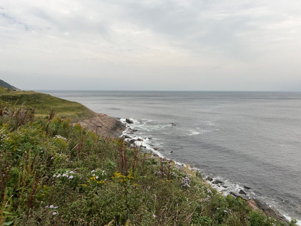 Wildflowers everywhere along the shoulders of the roads and the coastlines.