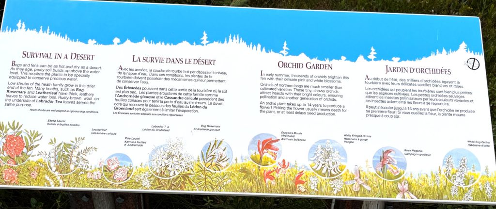 20230910 Bog Trail sign IMG_0912 Cape Breton Island - Cabot Trail Bog Trail - one of several informational signs