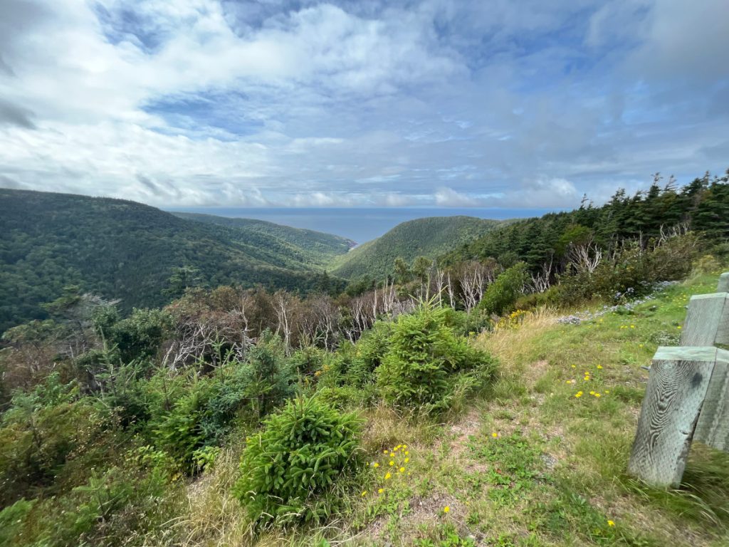 20230910 Cabot Trail route 30 lookoff Gulf of St Lawrence IMG_0934 Cape Breton Island - Cabot Trail route 30 lookoff - Gulf of St. Lawrence