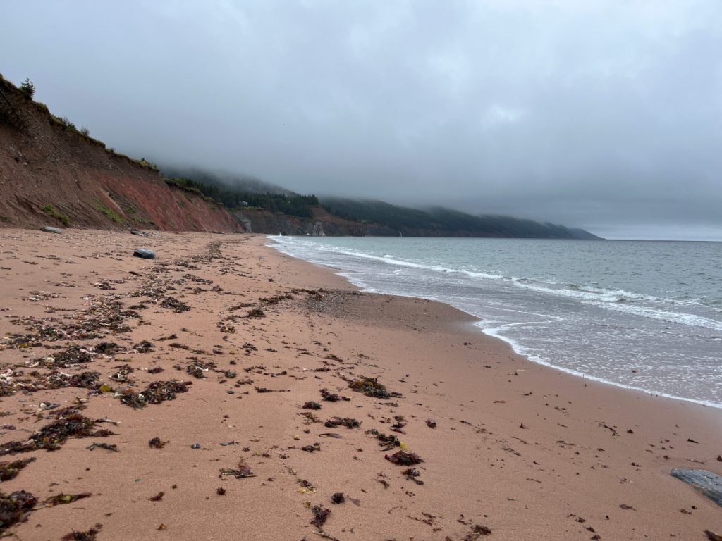 20230911 Cabots Landing IMG_E0938 Cabots Landing Provincial Park near Aspy Bay - beach walk looking north Sept 11, 2023.