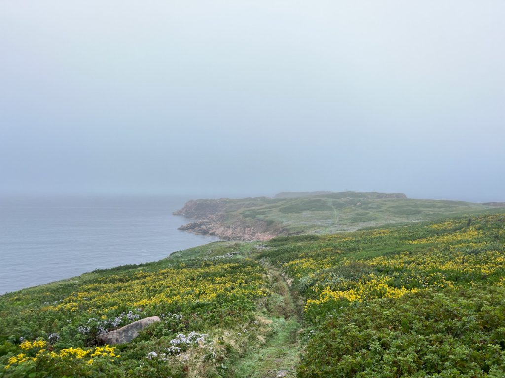 White Point Trail - view from near the top of the trailhead.