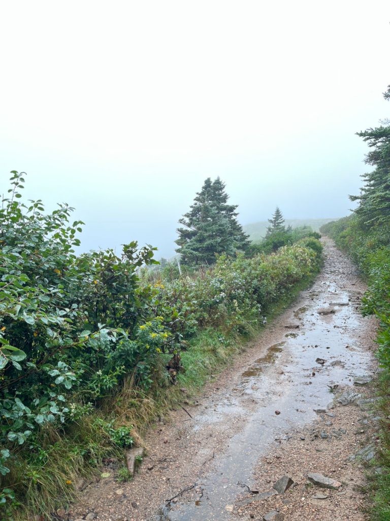 White Point Trail - from the trailhead