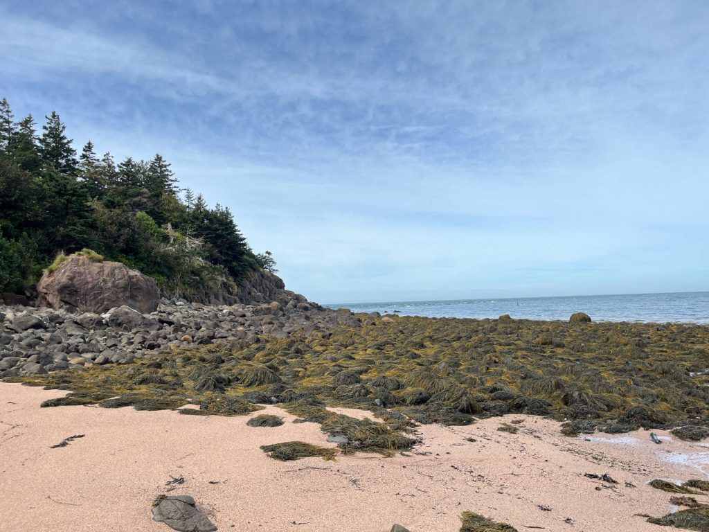 Sandy Cove Beach near Digby Sept 15, 2023