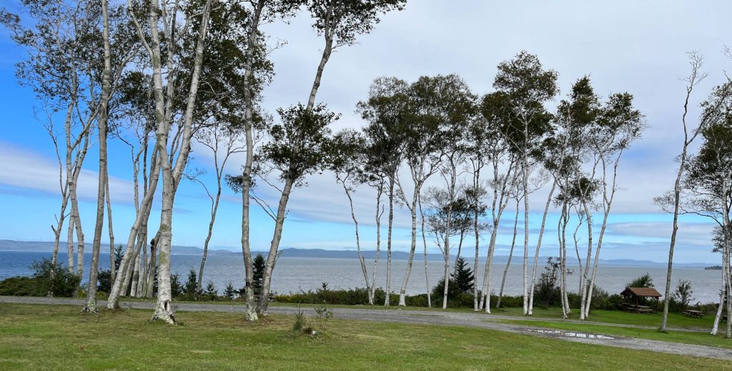 Savary Provincial Park, Sunday September 17, 2023 about 1pm.