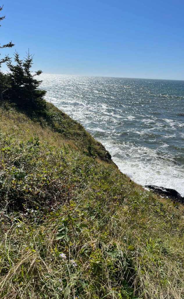 Smuggler's Cove Provincial Park - Sunday September 17, 2023, about 2:40pm.