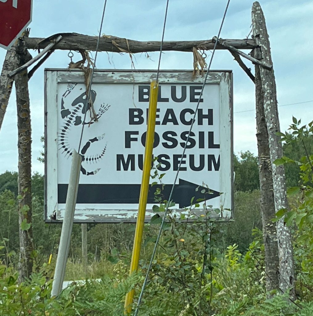 Joggins Blue Beach Fossil Museum September 18, 2023
